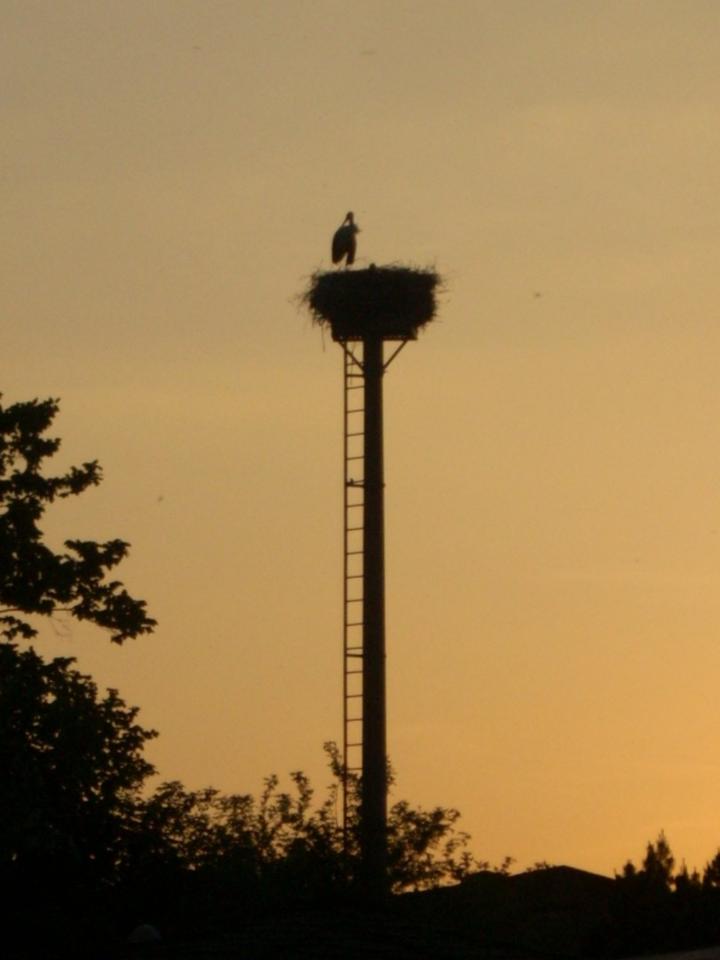 W12: Storch & Seeblick / Erdwärme & PV & Solarthermie – Bild 30