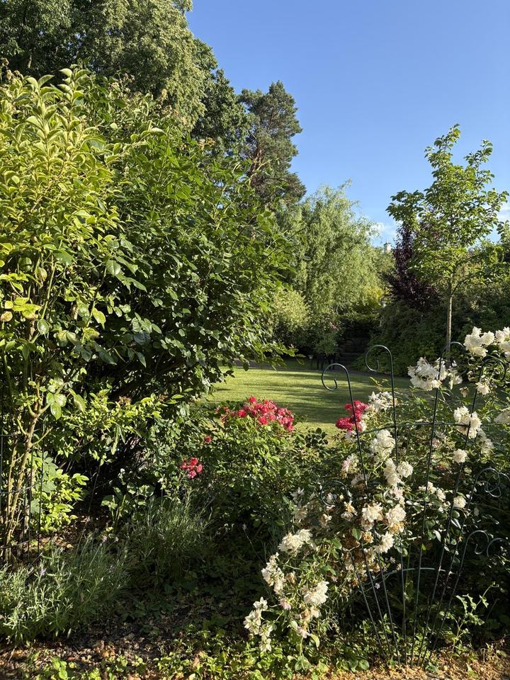 Super energieeffiziente DHH A+ in Toplage mit Traumgarten – Bild 17