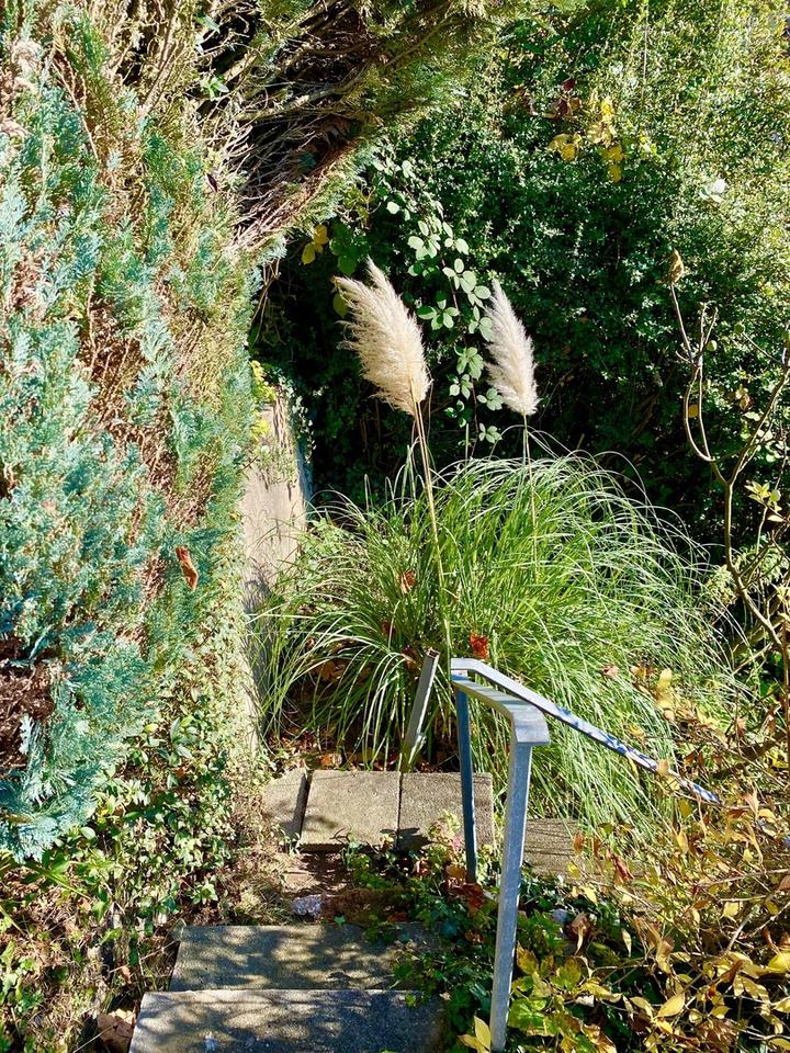 IN BESTER LAGE VON SCHW.-GMÜND „PROVISIONSFREI“ von Privat – Bild 16