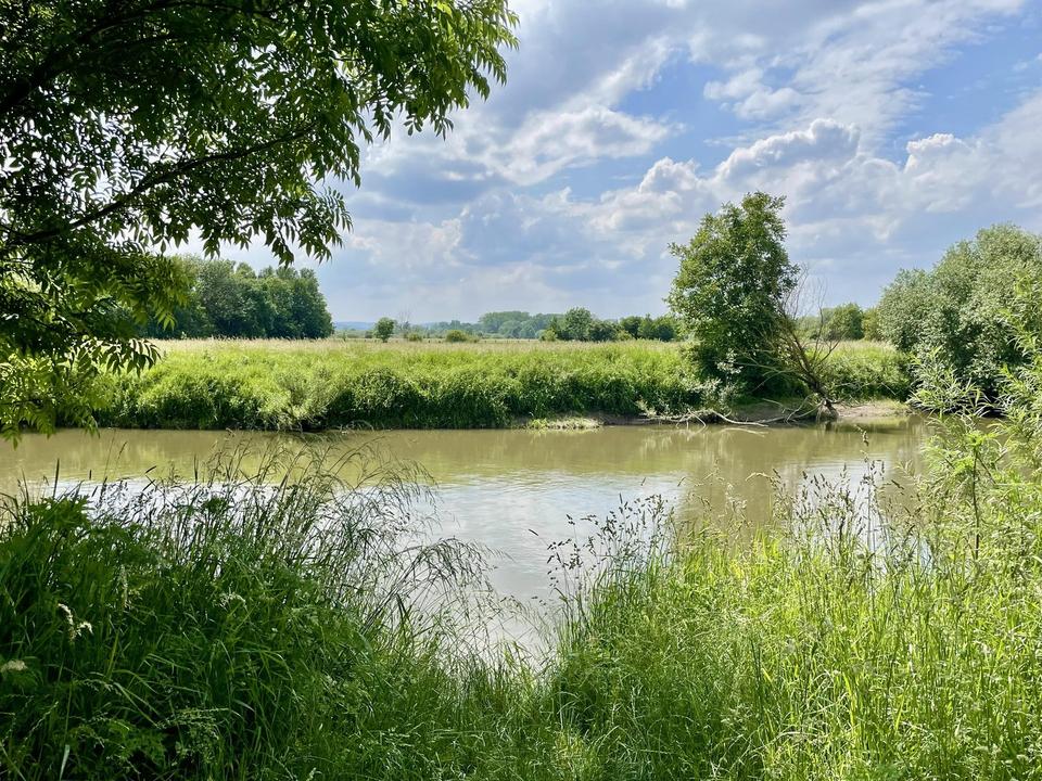 Architektenbungalow in Alt-Laatzens bester Lage von privat – Bild 22