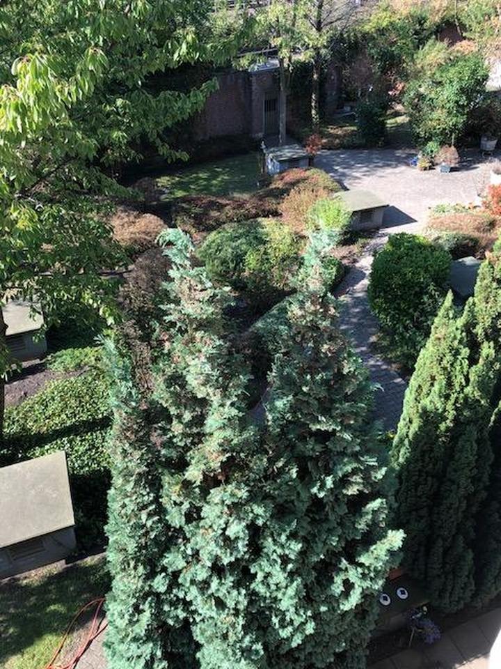 Stilvolle 1-Zimmer-Wohnung mit Einbauküche und Balkon in Unterbilk-Hafen – Bild 7