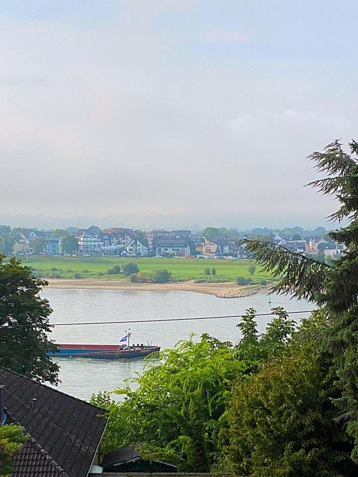 Courtagefrei: – Bild 3