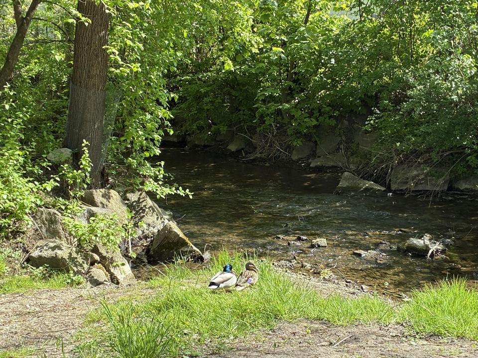 Wohnen und Leben an der Paar - Lassen Sie die Seele baumeln, in Bestlage – Bild 4
