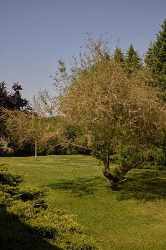 Großzügiges Einfamilienhaus auf traumhaft schönem Grundstück – Bild 6