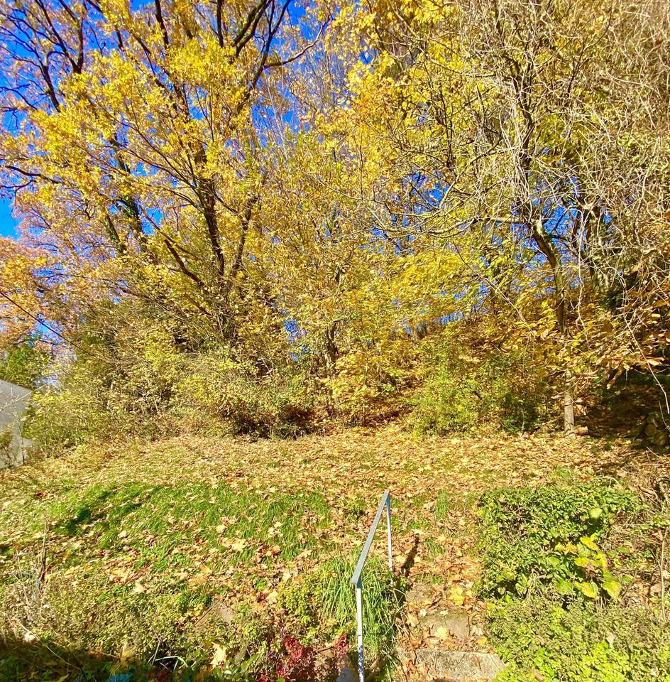 IN BESTER LAGE VON SCHW.-GMÜND „PROVISIONSFREI“ von Privat – Bild 8