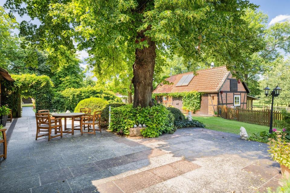 Pferdegestüt und exkl. Anwesen 70 km südöstl. von Hamburg - optional bis 30 ha Zukauf möglich – Bild 7