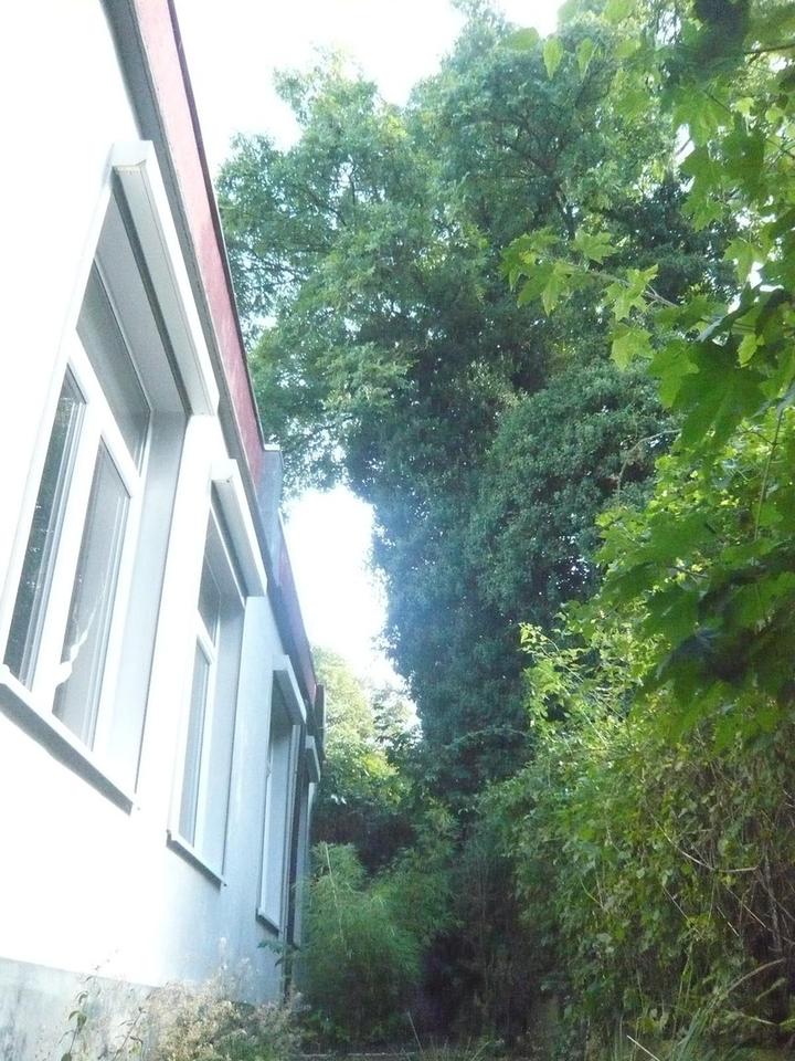 Loft in Hagen - Grüne Oase in der City – Bild 6