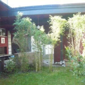 Loft in Hagen - Grüne Oase in der City