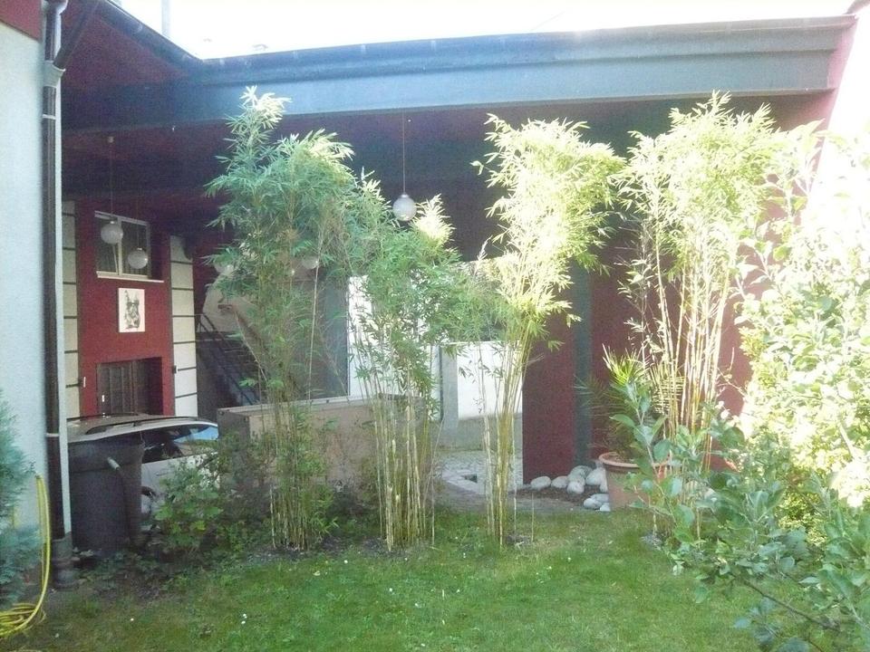 Loft in Hagen - Grüne Oase in der City