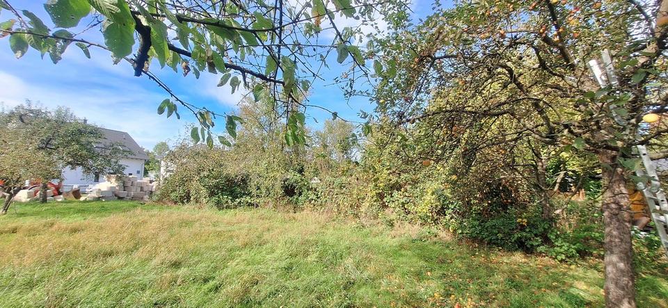 Baugrundstück in ruhiger Lage und sehr nahe den Feldern – Bild 2