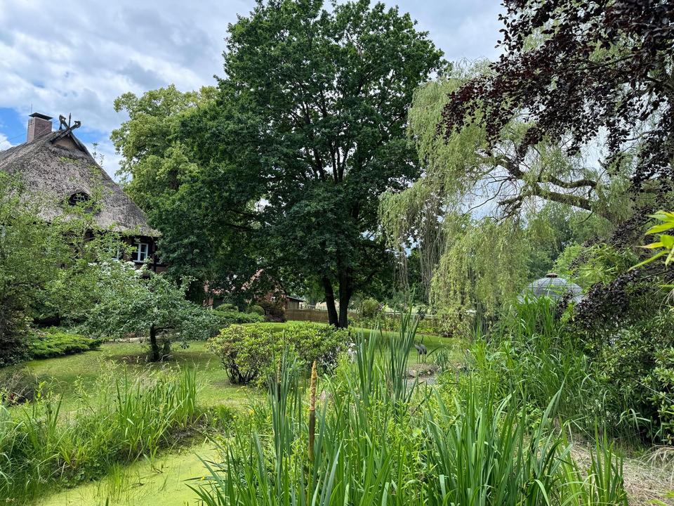 Pferdegestüt und exkl. Anwesen 70 km südöstl. von Hamburg - optional bis 30 ha Zukauf möglich – Bild 27