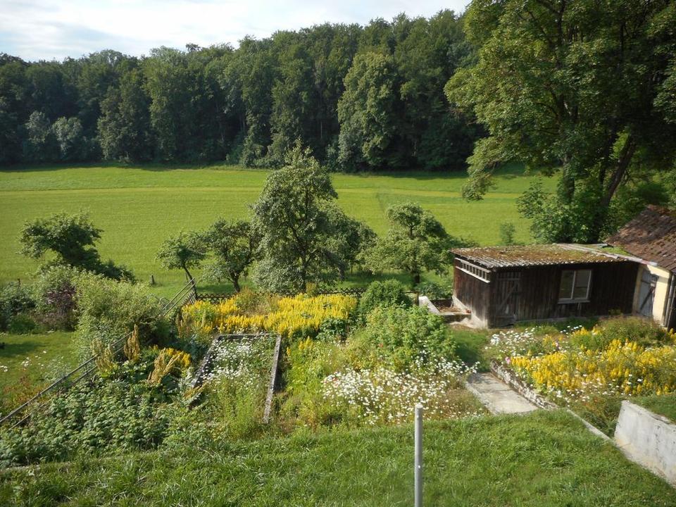 ++ Schöne, helle 3 Zimmerwohnung mit riesigem Balkon und Garten + + – Bild 8