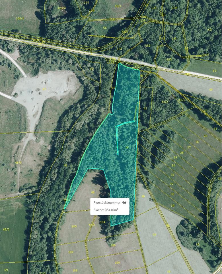 125.660 qm Waldgrundstück bei Leipzig / Wald - Forst - Privatwald - Waldfläche – Bild 11