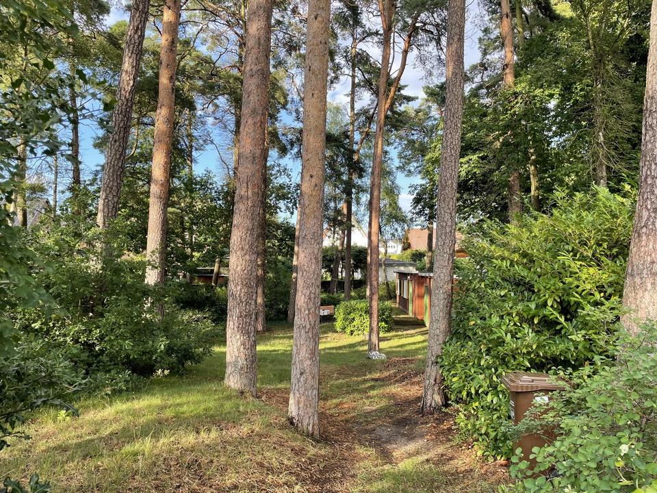 Baugrundstücke 722 qm im schönen Binz – Bild 3