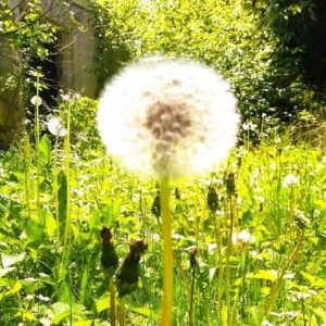 SCHÖNES HAUS FÜR MITARBEITERUNTERBRINGUNG, 5 Schlafzi, 3 Bäder, 4 WC