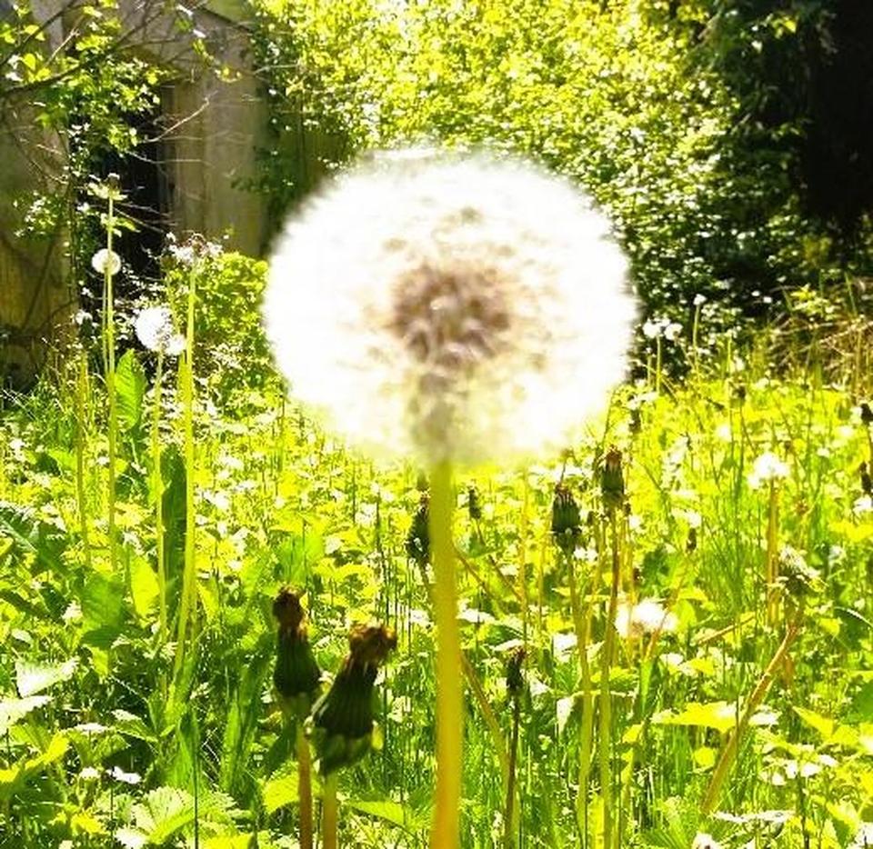 SCHÖNES HAUS FÜR MITARBEITERUNTERBRINGUNG, 5 Schlafzi, 3 Bäder, 4 WC