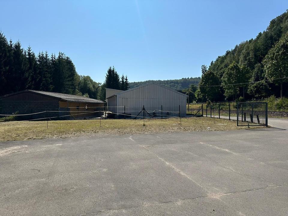 66976 beste Anbindung: 500 -2000qm für Gewerbe / Landw / Forst / Holzhandel / Lager – Bild 3