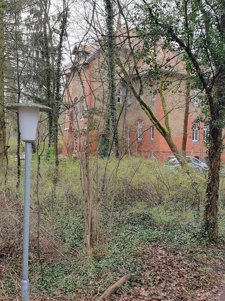 Ärztevilla in Uchtspringe bei Stendal – Bild 10