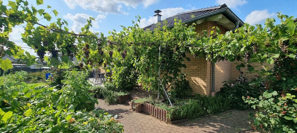 Charmanter Bungalow in ruhiger Lage - auf Anfrage auch zu Vermieten – Bild 20