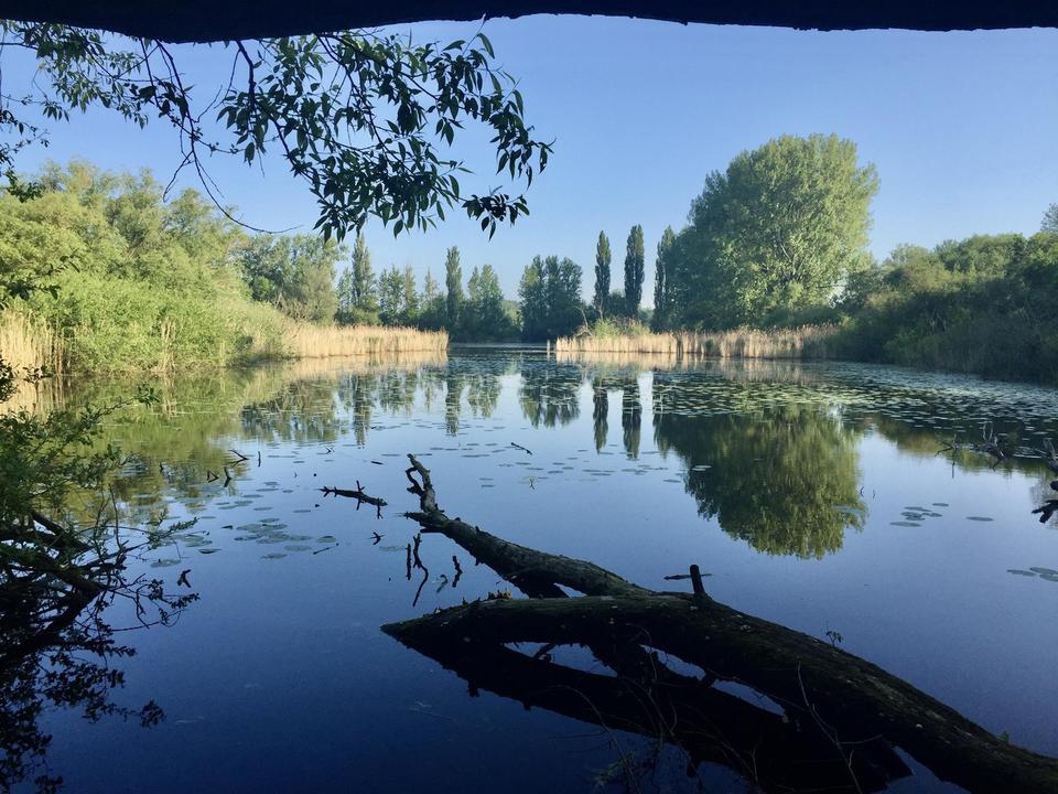 Architektenbungalow in Alt-Laatzens bester Lage von privat – Bild 27