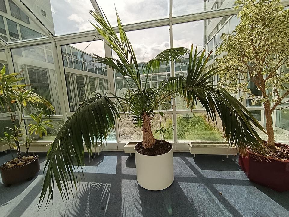 Attraktive Bürofläche zu vermieten – Bild 7