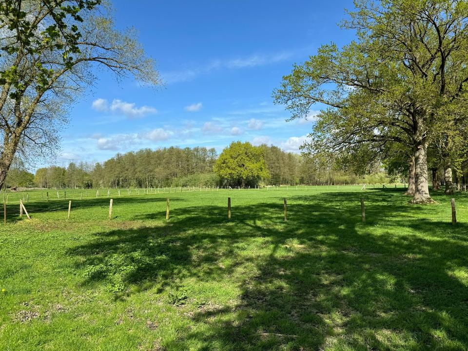 Pferdegestüt und exkl. Anwesen 70 km südöstl. von Hamburg - optional bis 30 ha Zukauf möglich – Bild 35