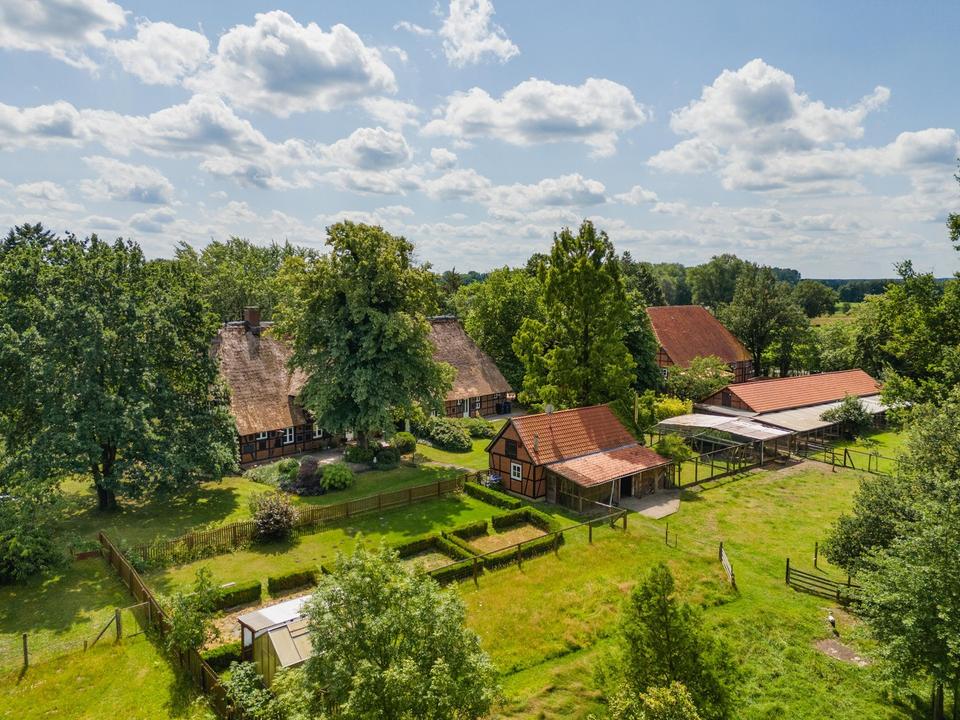 Pferdegestüt und exkl. Anwesen 70 km südöstl. von Hamburg - optional bis 30 ha Zukauf möglich – Bild 2