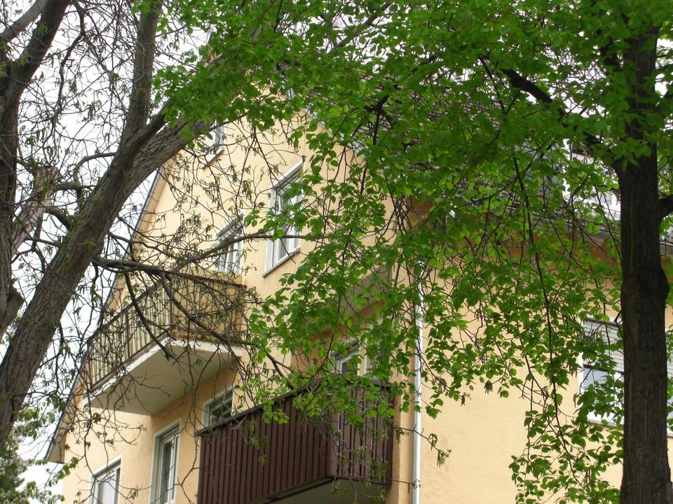 3-Zimmer-Dachgeschosswohnung mit Gartenanteil in Heilbronn Neckargartach – Bild 4