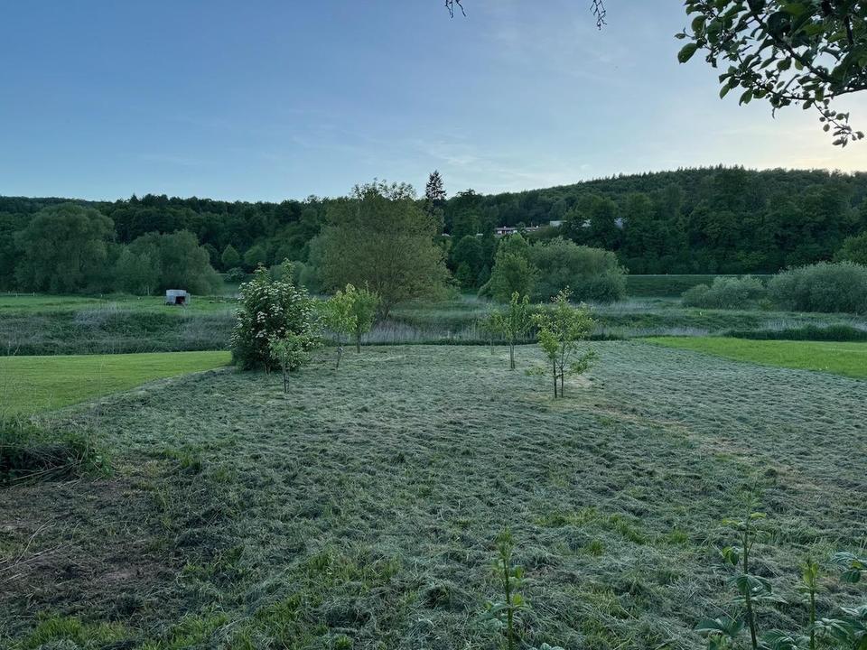 Provisionsfrei - Einzigartiger Vierseithof an der Weser – Bild 16