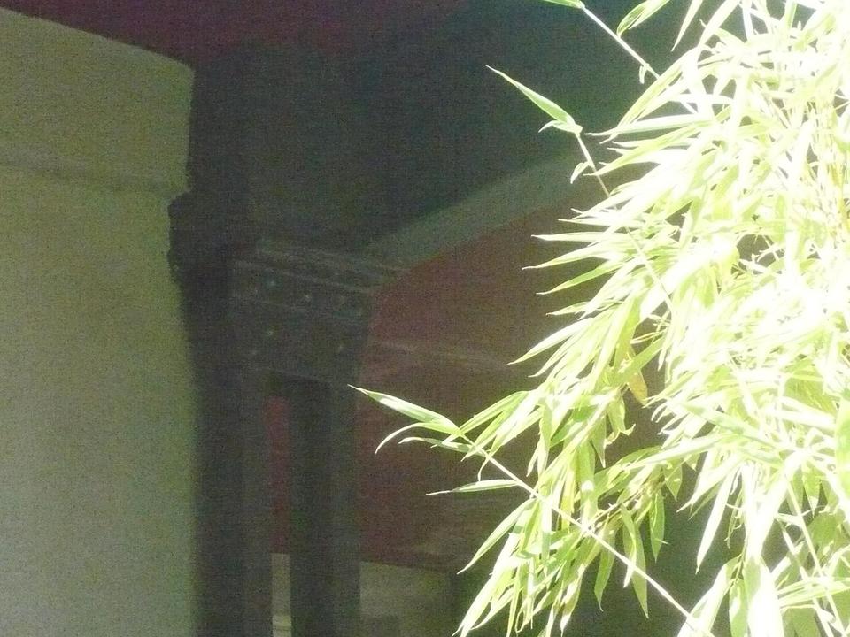 Loft in Hagen - Grüne Oase in der City – Bild 3