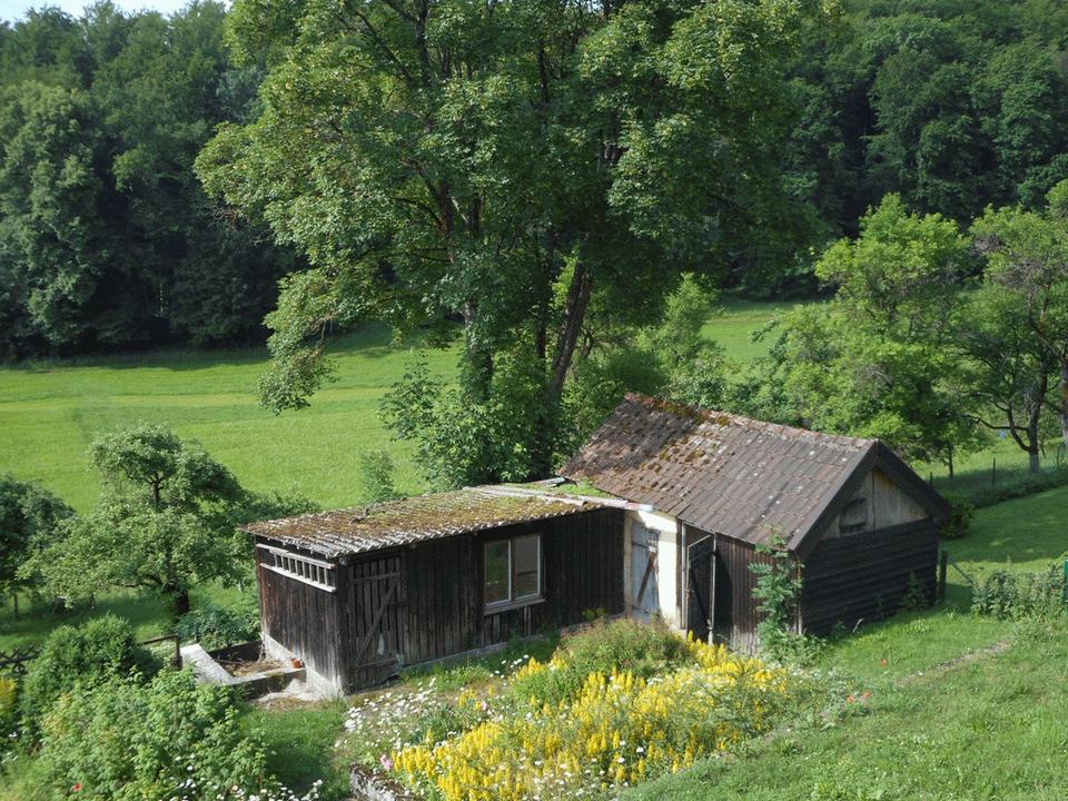 ++ Schöne, helle 3 Zimmerwohnung mit riesigem Balkon und Garten + + – Bild 2