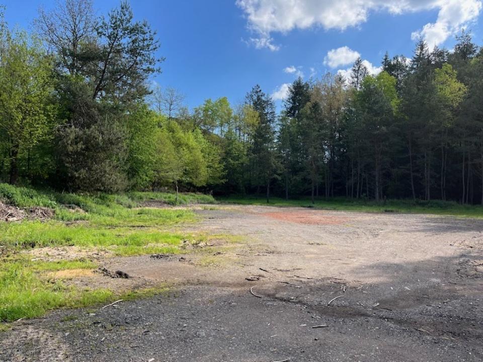 66976 beste Anbindung: 500 -2000qm für Gewerbe / Landw / Forst / Holzhandel / Lager – Bild 6