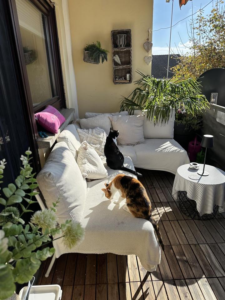 Wohlfühl-3-Zimmer-Wohnung, Balkon, Klimaanlage, EBK & Stellplatz – Bild 30