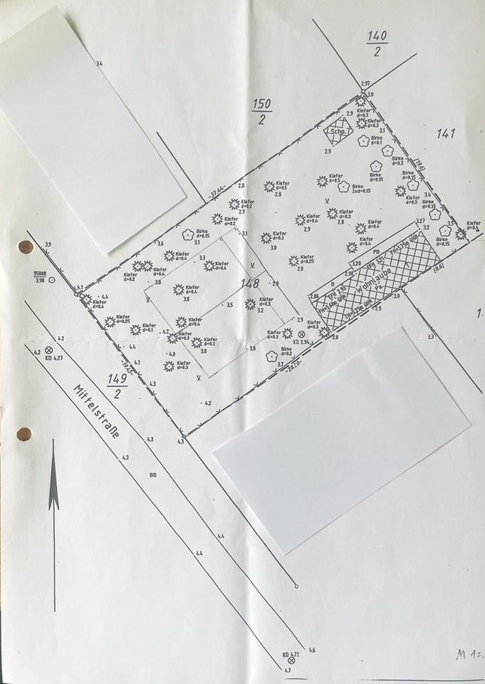 Baugrundstücke 722 qm im schönen Binz – Bild 6
