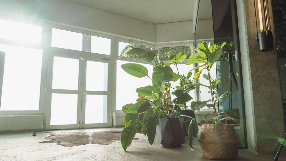 Vielfältige Fläche in Top-Lage von Berlin - Moderne Studio-, Laden-, oder Bürofläche – Bild 4