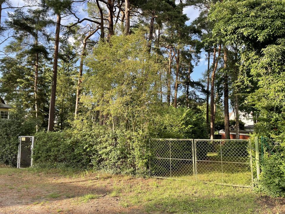 Baugrundstücke 722 qm im schönen Binz – Bild 2