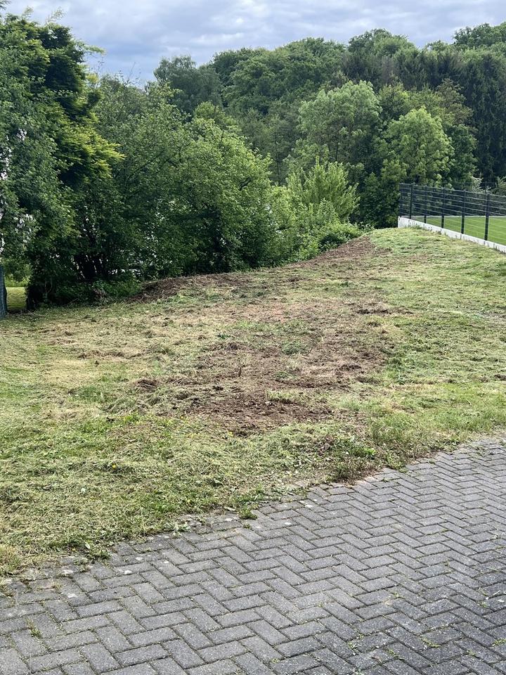 572 m² Sonnengrundstück in 53819 Neunkirchen-Seelscheid OT Seelscheid – Bild 4
