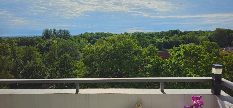 Schöne kernsanierte 3-Zimmerwohnung mit traumhaftem Weitblick – Bild 15