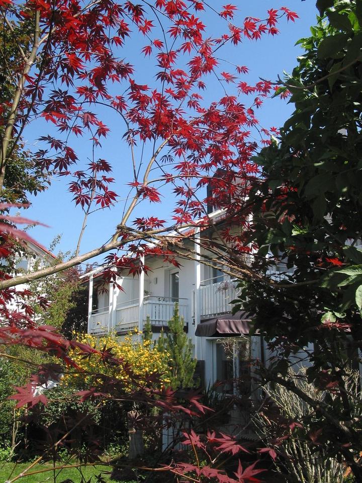 Pilsensee großes, gepflegtes Einfamilien-RMH, 141 m² Wfl., 2 Carports, Bj. 1998 – Bild 3