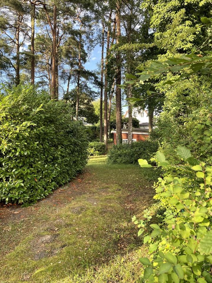 Baugrundstücke 722 qm im schönen Binz – Bild 4