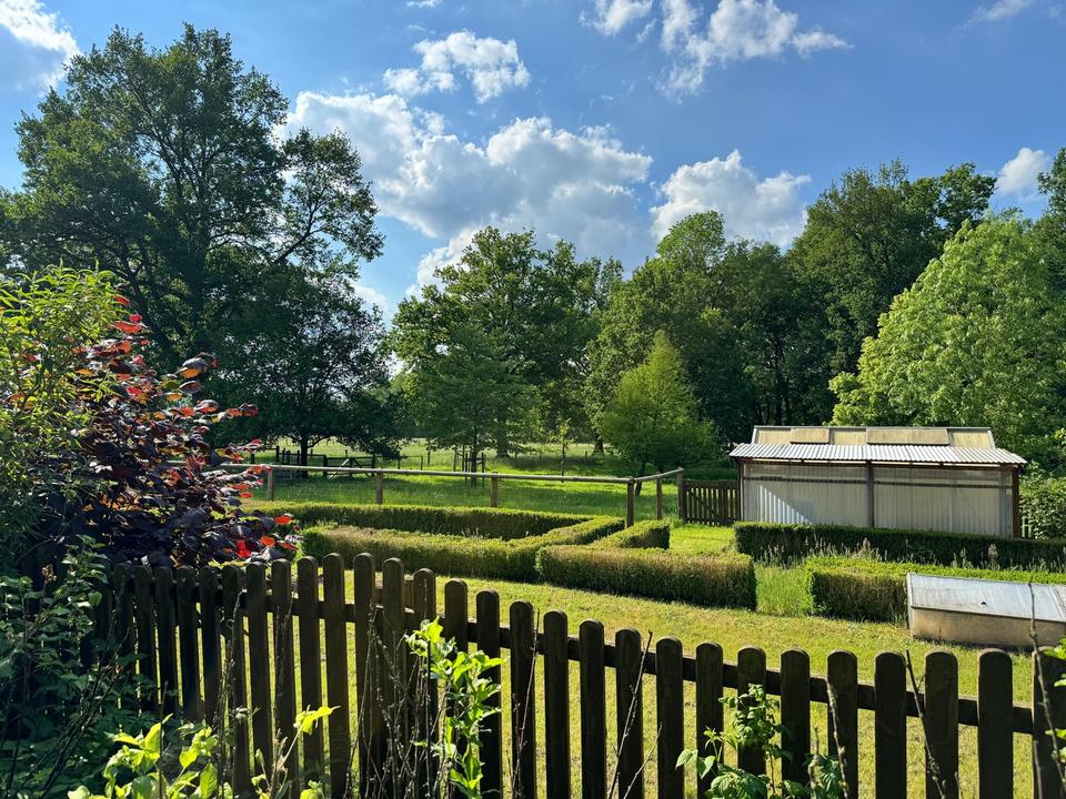 Pferdegestüt und exkl. Anwesen 70 km südöstl. von Hamburg - optional bis 30 ha Zukauf möglich – Bild 26