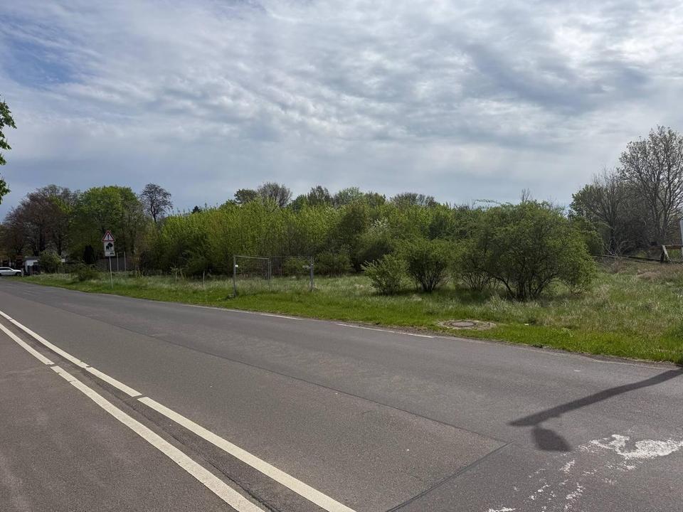 Bauland / Baugrundstück in Zörbig – 5.216 m² mit Projektpotenzial – Bild 4