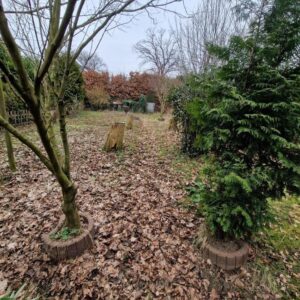 Baugrundstück in HH- Billstedt 600 m² mit Altbestand