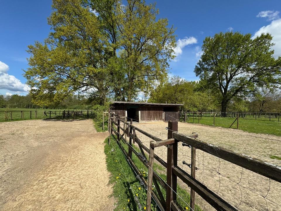 Pferdegestüt und exkl. Anwesen 70 km südöstl. von Hamburg - optional bis 30 ha Zukauf möglich – Bild 37