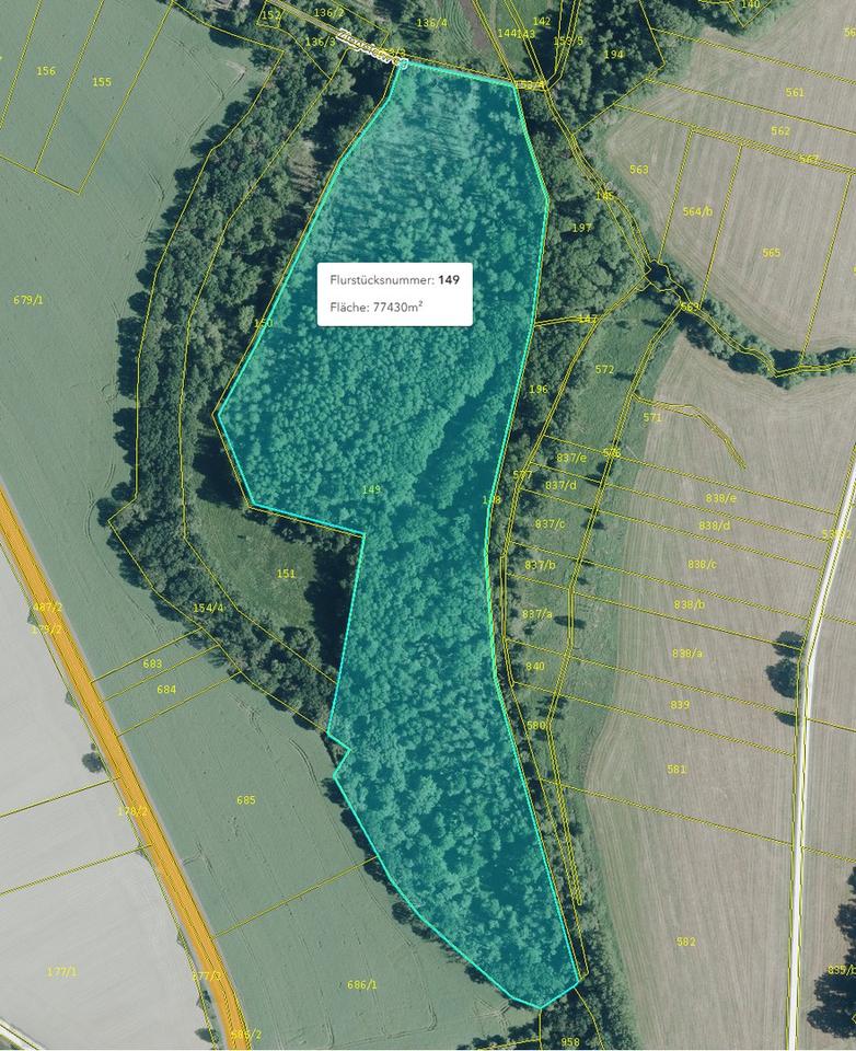 125.660 qm Waldgrundstück bei Leipzig / Wald - Forst - Privatwald - Waldfläche – Bild 8