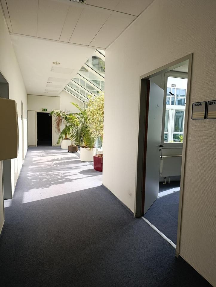 Attraktive Bürofläche zu vermieten – Bild 5