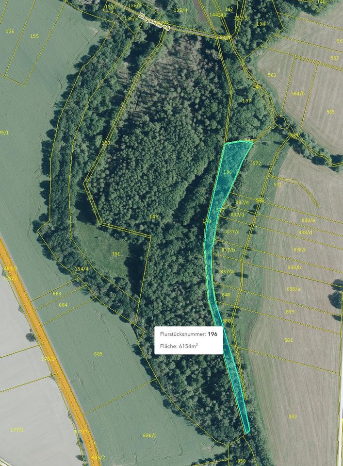 125.660 qm Waldgrundstück bei Leipzig / Wald - Forst - Privatwald - Waldfläche – Bild 9