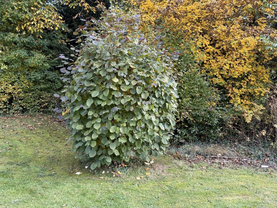 Schönes Baugrundstück in ruhiger Lage, provisionsfreier Erwerb direkt vom Eigentümer – Bild 5