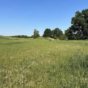 2 Baugrundstücke in Breetze