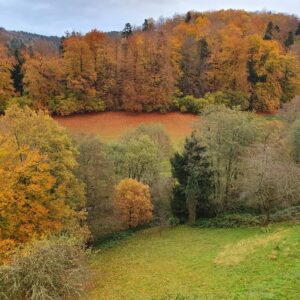 Attraktive lichtdurchflutete Maisonette-Wohnung